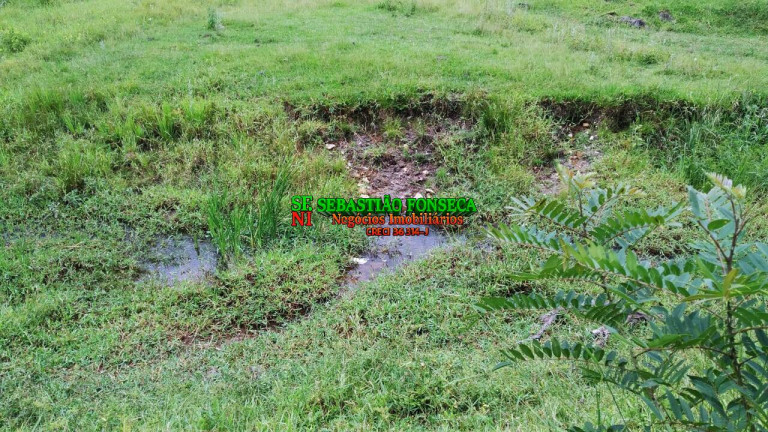 Imagem Fazenda à Venda, 65 m² em Centro - Cunha Imagem Fazenda à Venda, 65 m² em Centro - Cunha