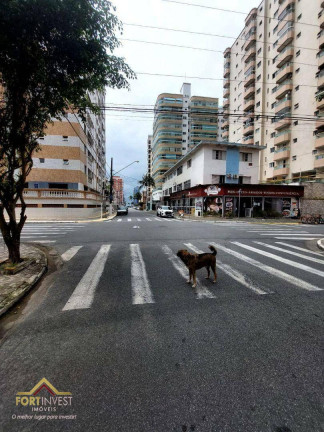 Imóvel com 1 Quarto à Venda, 57 m² em Tupi - Praia Grande