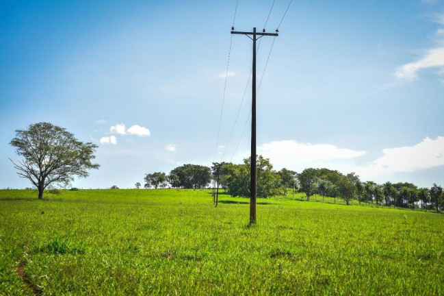 Imagem Fazenda à Venda, 2.000 m² em Zona Rural - Conquista Imagem Fazenda à Venda, 2.000 m² em Zona Rural - Conquista