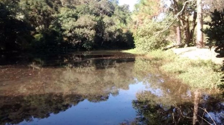 Imagem Chácara com 4 Quartos à Venda, 100 m² em Cunha - Cunha