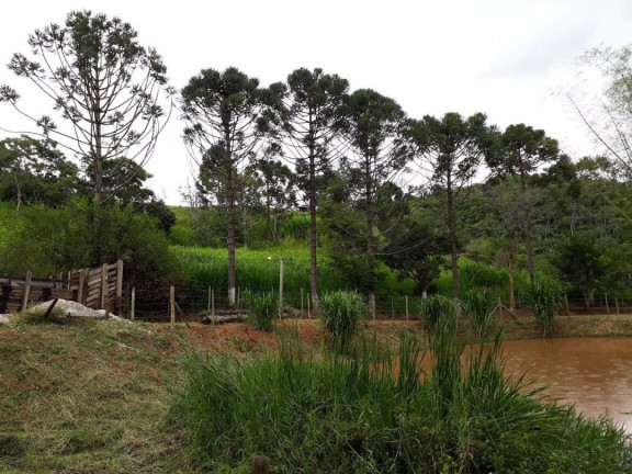Imagem Chácara com 2 Quartos à Venda, 100 m² em Centro - Redenção Da Serra Imagem Chácara com 2 Quartos à Venda, 100 m² em Centro - Redenção Da Serra