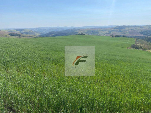 Fazenda à Venda, 3.678.400 m² em Zona Rural - Palmital