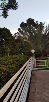 Imagem Chácara com 3 Quartos à Venda, 300 m² em Fazenda Primavera - Jarinu Imagem Chácara com 3 Quartos à Venda, 300 m² em Fazenda Primavera - Jarinu