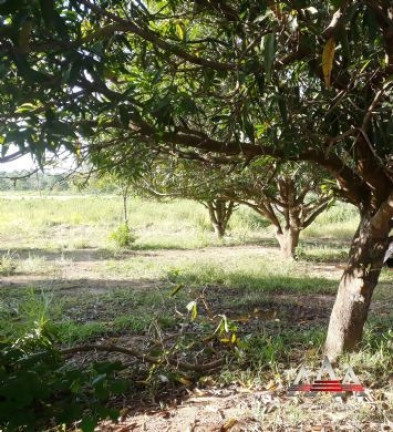 Imagem Terreno à Venda, 10.000 m² em Recanto Seriema - Cuiabá Imagem Terreno à Venda, 10.000 m² em Recanto Seriema - Cuiabá