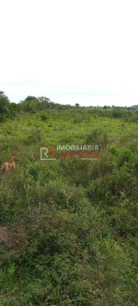 Imagem Fazenda à Venda, 1.411 m² em Poxoréo Imagem Fazenda à Venda, 1.411 m² em Poxoréo