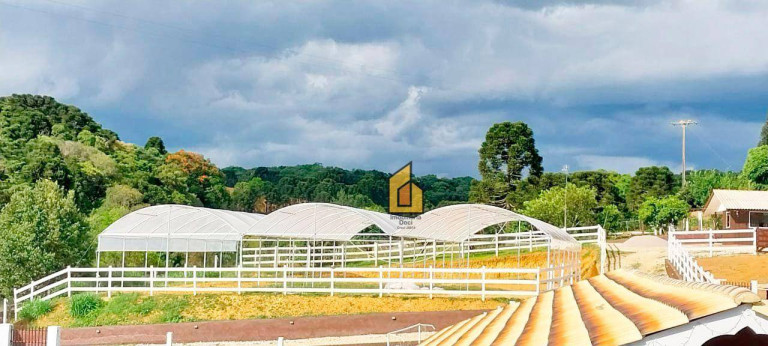 Imagem Chácara com 2 Quartos à Venda, 7.000 m² em Zona Rural - Contenda