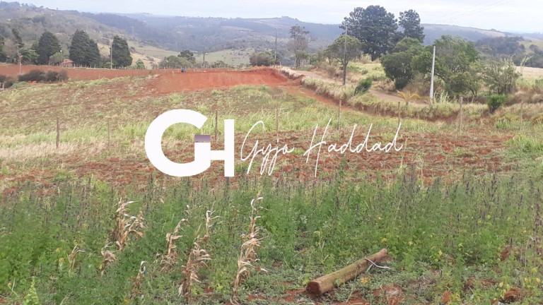 Imagem Chácara à Venda, 5.000 m² em Piedade
