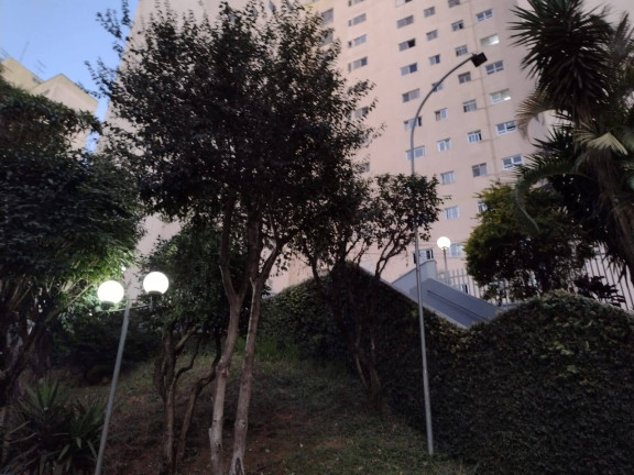 Imagem Apartamento com 3 Quartos à Venda, 67 m² em Vila Moraes - São Paulo