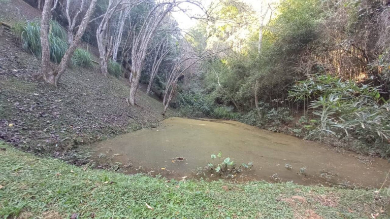Imagem Chácara com 4 Quartos à Venda, 23 m² em Braunes - Nova Friburgo Imagem Chácara com 4 Quartos à Venda, 23 m² em Braunes - Nova Friburgo