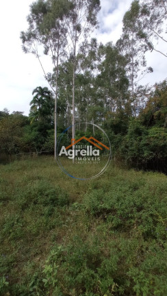 Imagem Imóvel com 3 Quartos à Venda, 25.000 m² em Jardim Primavera - Mogi Mirim Imagem Imóvel com 3 Quartos à Venda, 25.000 m² em Jardim Primavera - Mogi Mirim