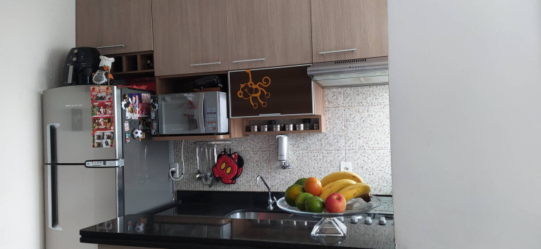 Imagem Apartamento com 2 Quartos à Venda, 50 m² em Ponte De São João - Jundiaí
