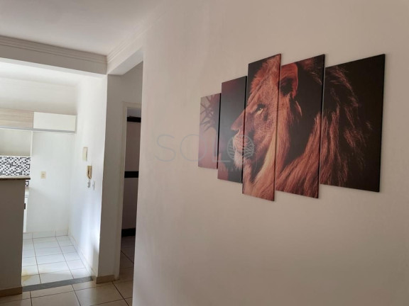 Imagem Apartamento com 2 Quartos para Alugar, 55 m² em Parque Atacama - Araraquara Imagem Apartamento com 2 Quartos para Alugar, 55 m² em Parque Atacama - Araraquara