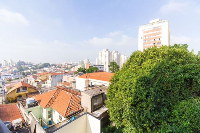 Imagem Imóvel com 3 Quartos à Venda, 98 m² em Vila Pereira Barreto - São Paulo