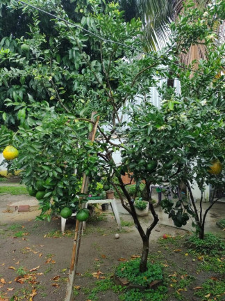 Imagem Casa com 4 Quartos à Venda, 400 m² em Campo Grande - Rio De Janeiro Imagem Casa com 4 Quartos à Venda, 400 m² em Campo Grande - Rio De Janeiro