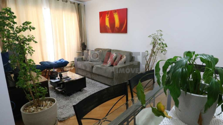 Imagem Apartamento com 3 Quartos à Venda, 80 m² em Saúde - São Paulo Imagem Apartamento com 3 Quartos à Venda, 80 m² em Saúde - São Paulo