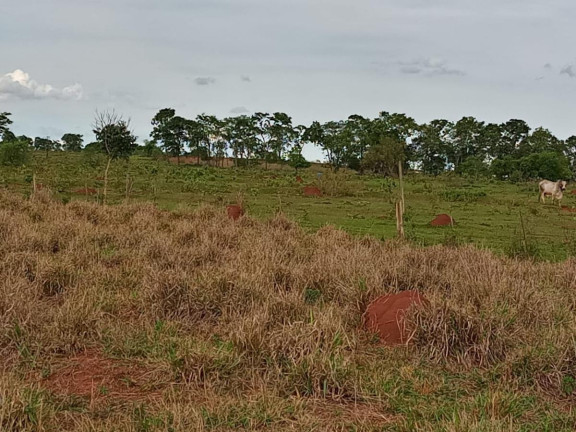 Imagem Fazenda à Venda, 2.027 m² em Rural - Campo Grande