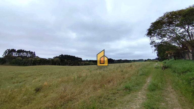 Imagem Chácara à Venda, 1 m² em Boqueirão - Araucária