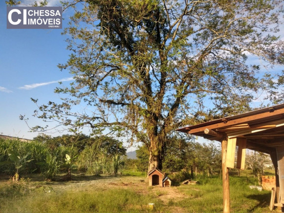 Imagem Chácara com 4 Quartos à Venda, 8.078 m² em Itaipava - Itajaí
