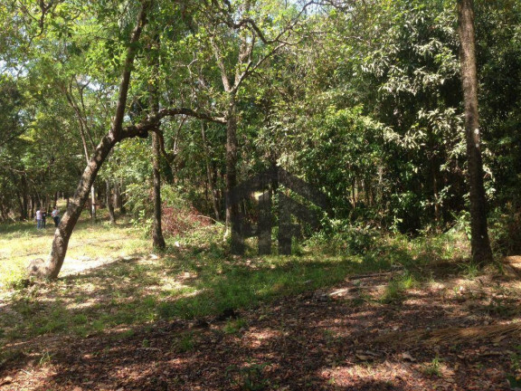 Imagem Terreno à Venda, 10.700 m² em Loteamento Enseada Dos Corais - Cabo De Santo Agostinho Imagem Terreno à Venda, 10.700 m² em Loteamento Enseada Dos Corais - Cabo De Santo Agostinho