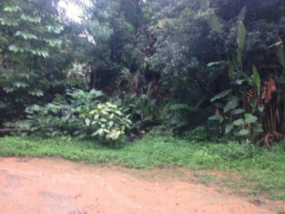 Imagem Terreno à Venda, 813 m² em Granja Viana - Cotia Imagem Terreno à Venda, 813 m² em Granja Viana - Cotia