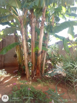Imagem Casa com 2 Quartos à Venda, 80 m² em Jardim João Paccola - Lençóis Paulista Imagem Casa com 2 Quartos à Venda, 80 m² em Jardim João Paccola - Lençóis Paulista