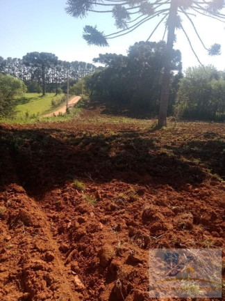 Imagem Terreno à Venda, 6.600 m² em Campo Largo Da Roseira - São José Dos Pinhais Imagem Terreno à Venda, 6.600 m² em Campo Largo Da Roseira - São José Dos Pinhais