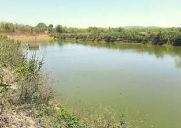 Imagem Fazenda à Venda, 1.357 m² em Jangada Imagem Fazenda à Venda, 1.357 m² em Jangada