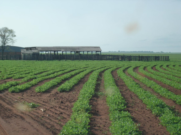 Imagem Imóvel à Venda, 340 m² em Presidente Prudente - Zona Rural - Presidente Prudente
