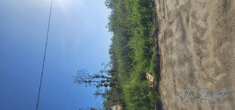 Imagem Terreno à Venda, 450 m² em Balneário Praia Grande - Matinhos Imagem Terreno à Venda, 450 m² em Balneário Praia Grande - Matinhos