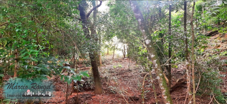 Imagem Imóvel à Venda, 8.650 m² em Caxeta - Campos Dos Goytacazes Imagem Imóvel à Venda, 8.650 m² em Caxeta - Campos Dos Goytacazes