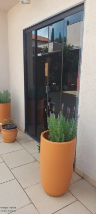 Imagem Casa com 5 Quartos à Venda, 278 m² em Jardim Campos Elísios - Poços De Caldas Imagem Casa com 5 Quartos à Venda, 278 m² em Jardim Campos Elísios - Poços De Caldas