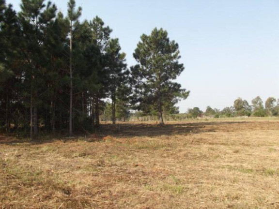 Imagem Terreno à Venda, 80.000 m² em águas Claras - Viamão