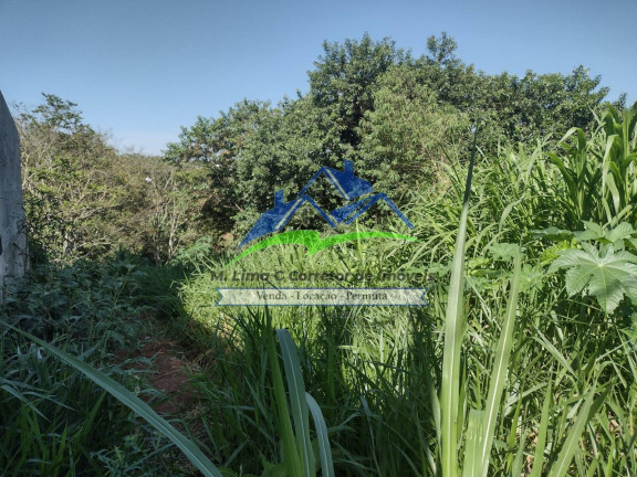 Imagem Terreno à Venda, 175 m² em Nova Cerejeira - Atibaia Imagem Terreno à Venda, 175 m² em Nova Cerejeira - Atibaia