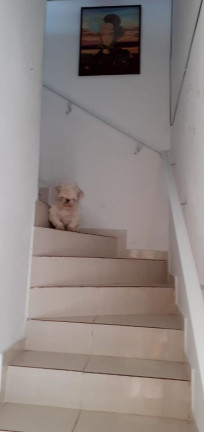 Imagem Sobrado com 2 Quartos à Venda, 70 m² em Jardim Imperador Iv - Praia Grande