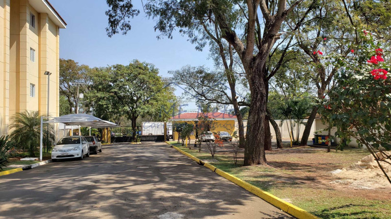 Imagem Apartamento com 2 Quartos à Venda, 47 m² em Residencial Das Flores - Pirassununga Imagem Apartamento com 2 Quartos à Venda, 47 m² em Residencial Das Flores - Pirassununga