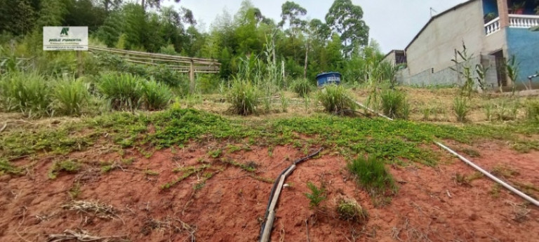Imagem Chácara com 2 Quartos à Venda, 1.800 m² em Caetê - São Roque