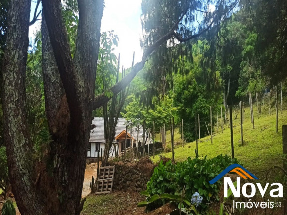 Imagem Imóvel à Venda, em Linha Pirajá - Nova Petrópolis Imagem Imóvel à Venda, em Linha Pirajá - Nova Petrópolis