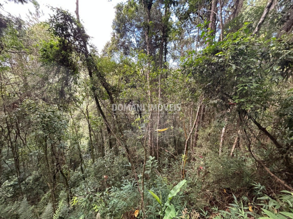Imagem Terreno à Venda, 5.820 m² em Região Do Parque Da água Santa - Campos Do Jordão Imagem Terreno à Venda, 5.820 m² em Região Do Parque Da água Santa - Campos Do Jordão