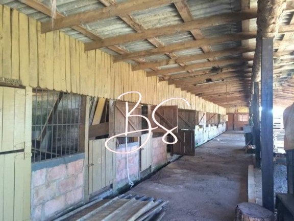 Imagem Imóvel com 3 Quartos à Venda, em Centro - Caxias Do Sul Imagem Imóvel com 3 Quartos à Venda, em Centro - Caxias Do Sul
