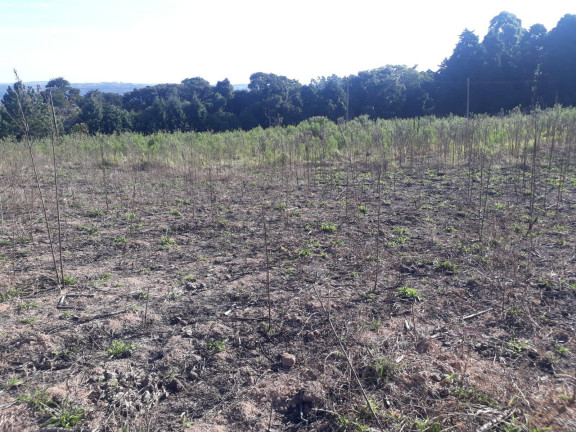 Imagem Terreno à Venda, 28.000 m² em Ortizes - Piedade Imagem Terreno à Venda, 28.000 m² em Ortizes - Piedade