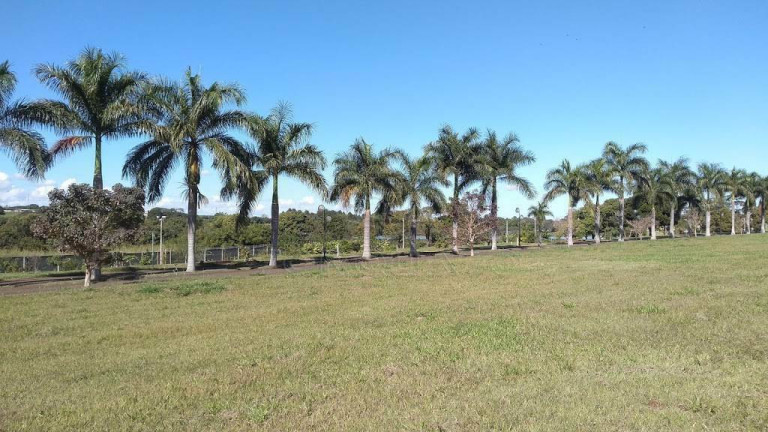 Imagem Terreno à Venda, 539 m² em Lago Azul - Engenheiro Coelho