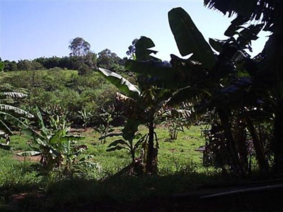 Imagem Imóvel com 3 Quartos à Venda, 37.800 m² em Três Vendas - Campinas Imagem Imóvel com 3 Quartos à Venda, 37.800 m² em Três Vendas - Campinas