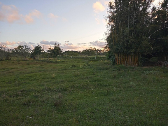 Imagem Chácara com 2 Quartos à Venda, 20.000 m² em águas Claras - Viamão