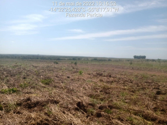 Imagem Fazenda à Venda, 3.600 m² em Nova Brasilândia Imagem Fazenda à Venda, 3.600 m² em Nova Brasilândia