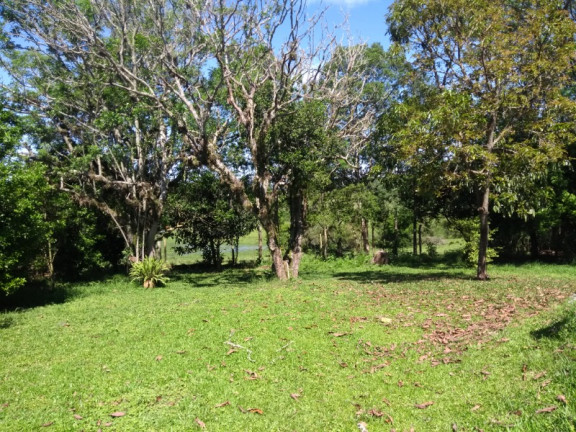 Imagem Imóvel com 3 Quartos à Venda, 254 m² em Paragem Verdes Campos - Gravataí Imagem Imóvel com 3 Quartos à Venda, 254 m² em Paragem Verdes Campos - Gravataí