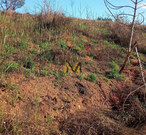Imagem Terreno à Venda, 7.000 m² em Capoavinha - Mairiporã Imagem Terreno à Venda, 7.000 m² em Capoavinha - Mairiporã