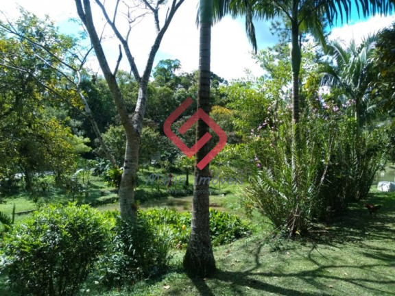 Imagem Imóvel com 3 Quartos à Venda, 500 m² em Cabeça Da Anta - Tapiraí Imagem Imóvel com 3 Quartos à Venda, 500 m² em Cabeça Da Anta - Tapiraí