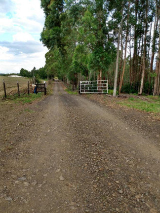 Imagem Fazenda à Venda, 363 m² em Rural - Ortigueira