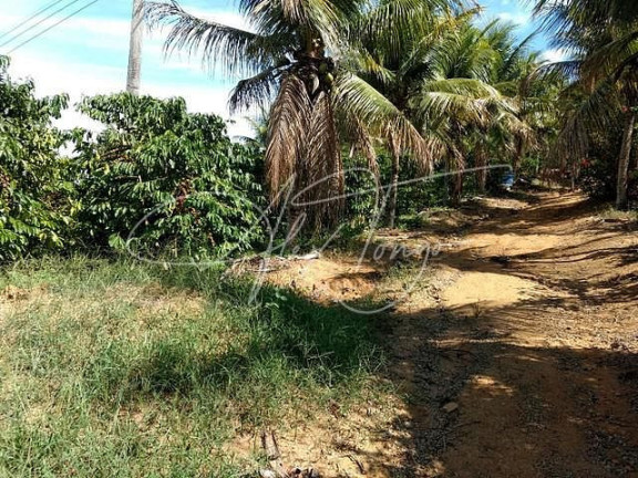 Fazenda à Venda, 100 m² em Timbuí - Fundão