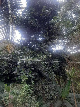Imagem Chácara com 2 Quartos à Venda, 90 m² em Mairiporã Imagem Chácara com 2 Quartos à Venda, 90 m² em Mairiporã
